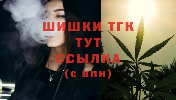 молекула духа Лихославль