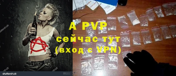 молекула духа Лихославль